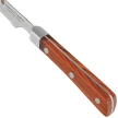 Nóż kuchenny do steków Top Cutlery Steak Red Stamina Wood, Satin 3Cr13Mov (17480)