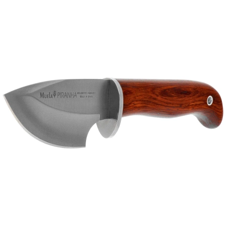 Nóż Muela Piranha-8R Coral Pakka Wood, Satin X50CrMoV15