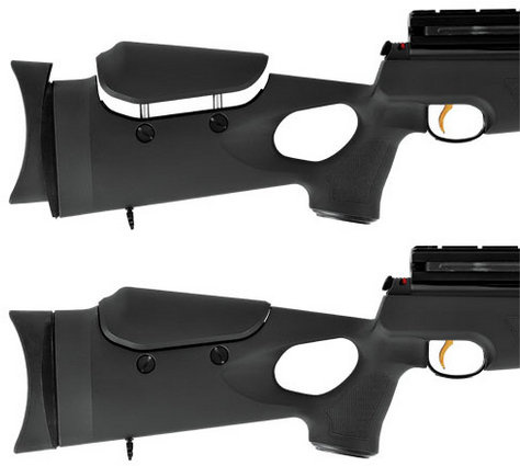 Hatsan AT44-10 5.5 mm PCP Air Rifle