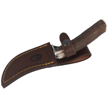 Muela Knife Deer Stag, Satin X50CrMoV15 (DP-10A)