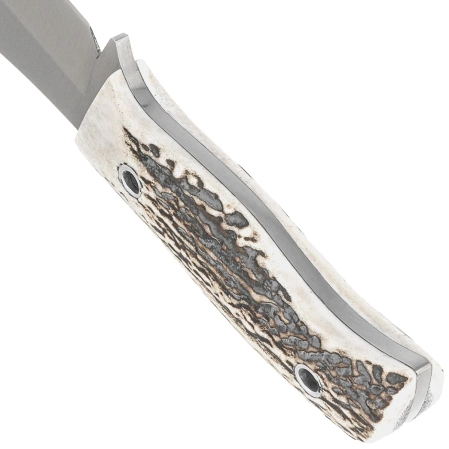 Nóż Muela Mustang-8A Red Deer Stag, Satin X50CrMoV15