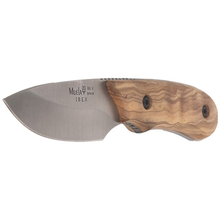 Muela Full Tang Olive Wood, Satin X50CrMoV15 (IBEX-8.OL)