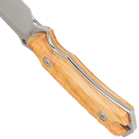 Fox Oxylos Olive Wood, Satin Becut Knife (FX-616 OL)