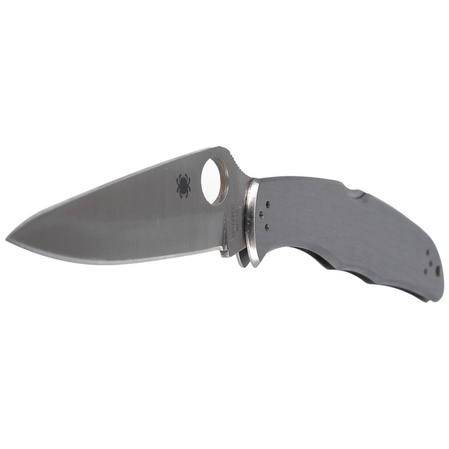 Spyderco Endura 4 Stainless Steel PlainEdge Knife (C10P)