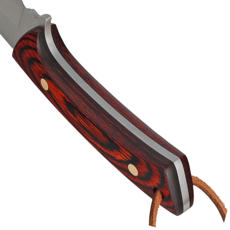 Muela Colibri COL-9.R Knife Coral Pakka Wood, Satin X50CrMoV15