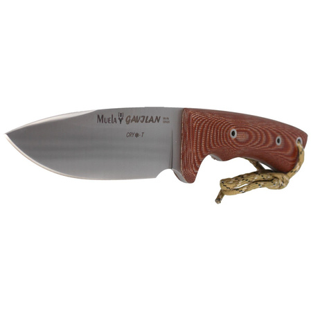 Muela Knife Full Tang Brown Canvas Micarta, Satin 1.4116 CRYO-T (GAVILAN C)