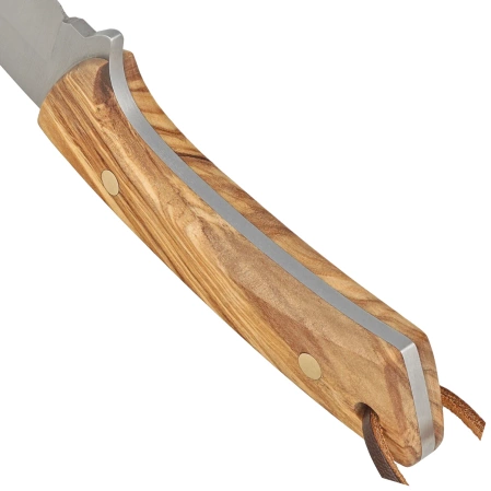Muela Colibri COL-9.OL Knife Olive Wood, Satin X50CrMoV15
